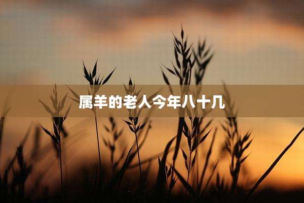 属羊的老人今年八十几
