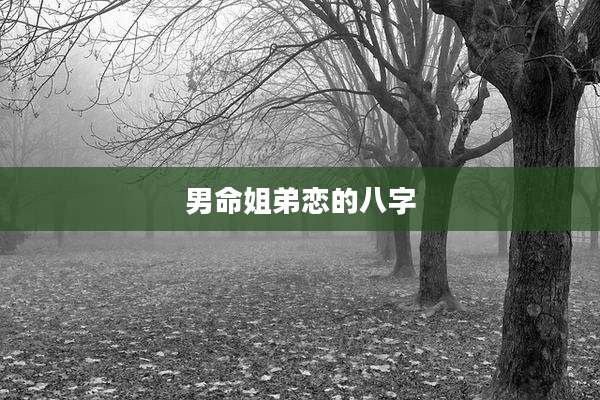 男命姐弟恋的八字