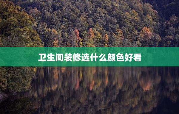 卫生间装修选什么颜色好看