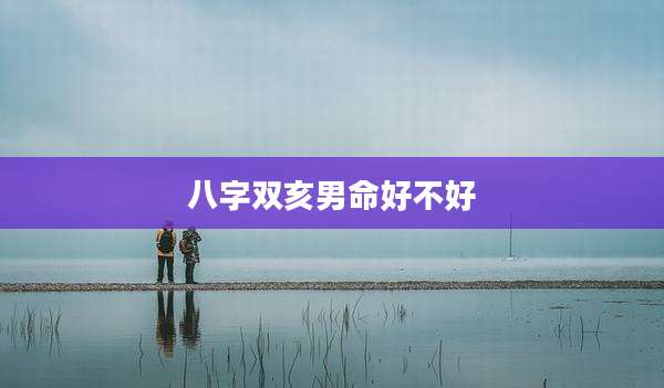 八字双亥男命好不好