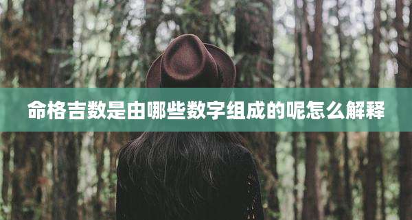 命格吉数是由哪些数字组成的呢怎么解释