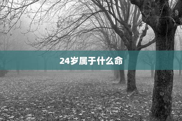 24岁属于什么命