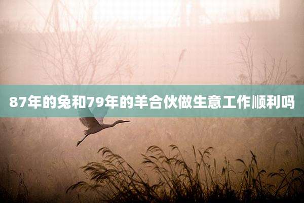 87年的兔和79年的羊合伙做生意工作顺利吗