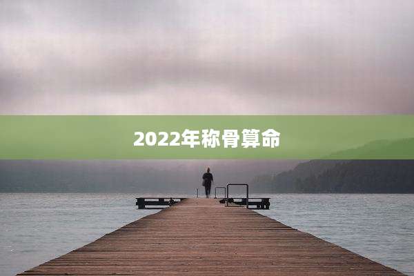 2022年称骨算命