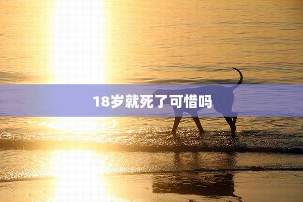 18岁就死了可惜吗