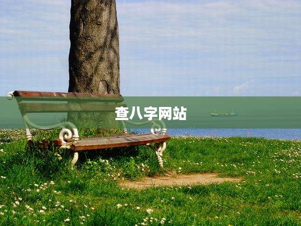 查八字网站