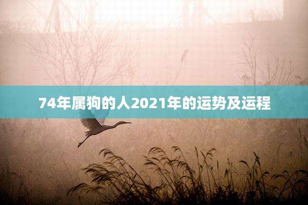 74年属狗的人2021年的运势及运程