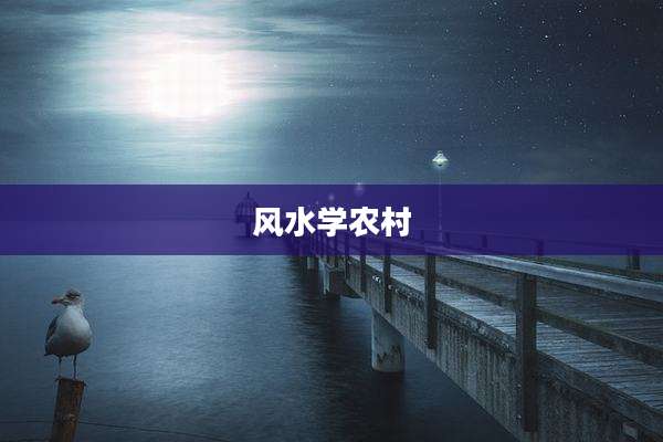 风水学农村