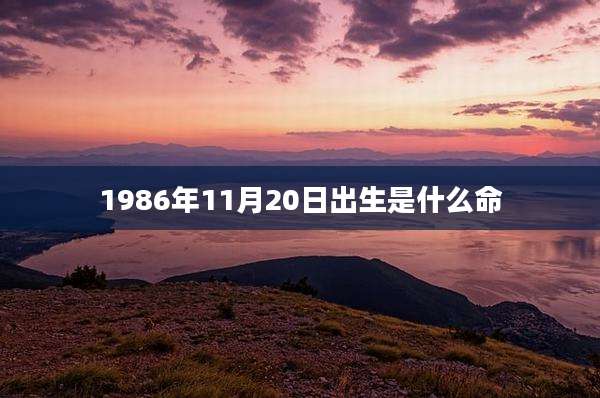 1986年11月20日出生是什么命