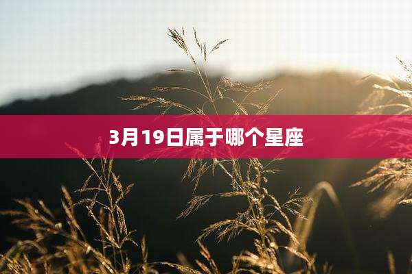 3月19日属于哪个星座