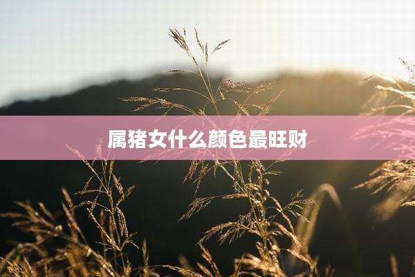 属猪女什么颜色最旺财