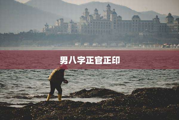 男八字正官正印
