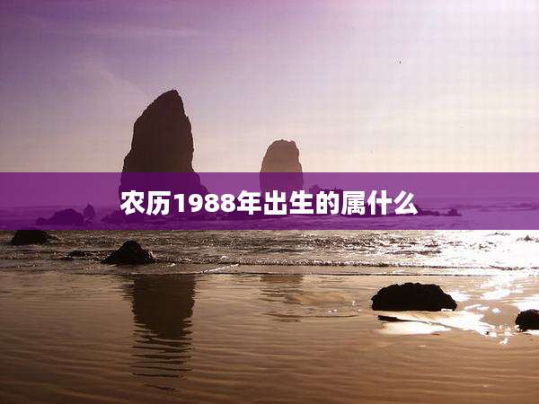 农历1988年出生的属什么