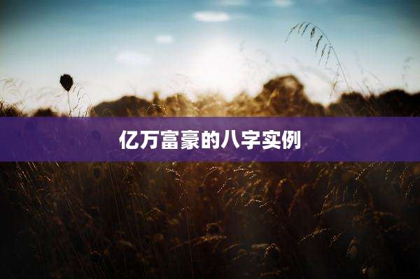 亿万富豪的八字实例