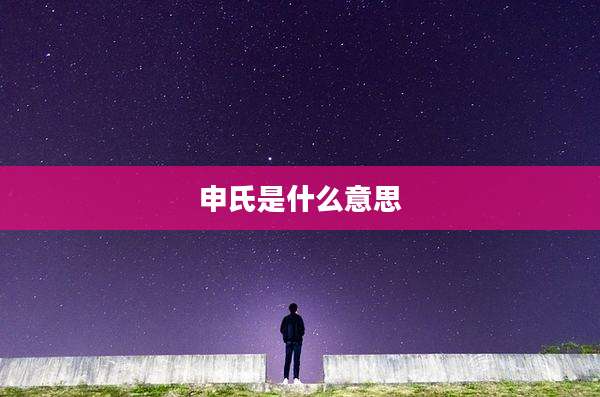 申氏是什么意思