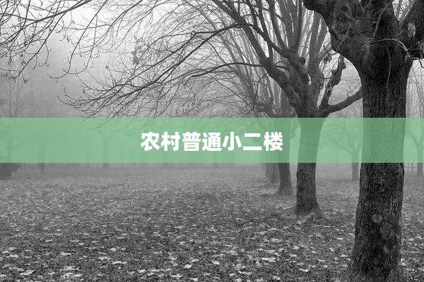 农村普通小二楼