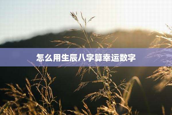 怎么用生辰八字算幸运数字
