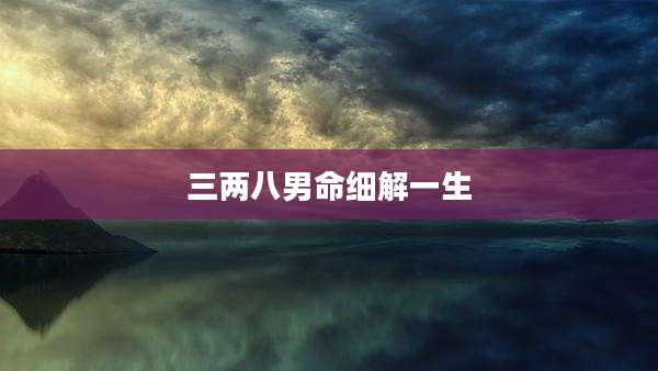 三两八男命细解一生