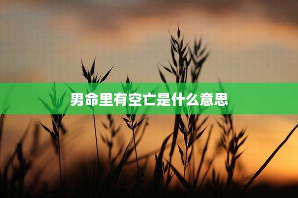 男命里有空亡是什么意思