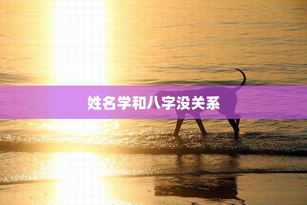 姓名学和八字没关系