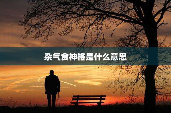 杂气食神格是什么意思