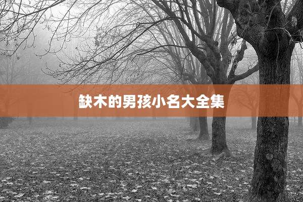 缺木的男孩小名大全集
