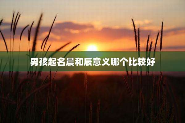 男孩起名晨和辰意义哪个比较好