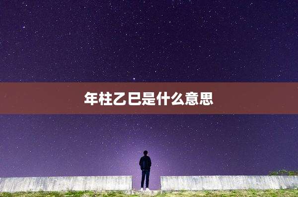年柱乙巳是什么意思