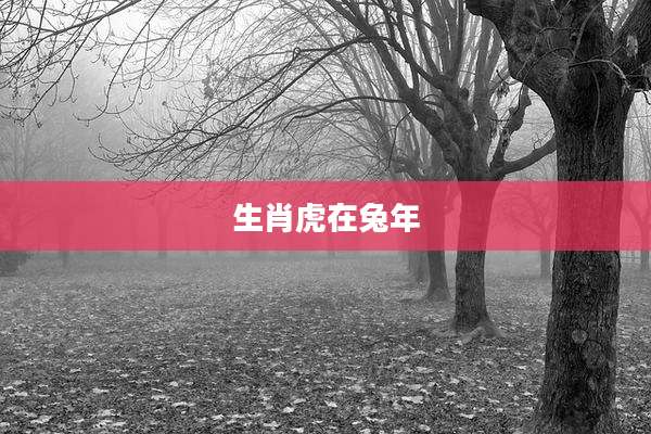 生肖虎在兔年