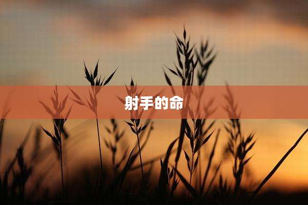 射手的命