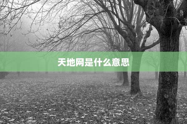 天地网是什么意思