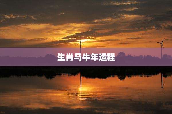 生肖马牛年运程