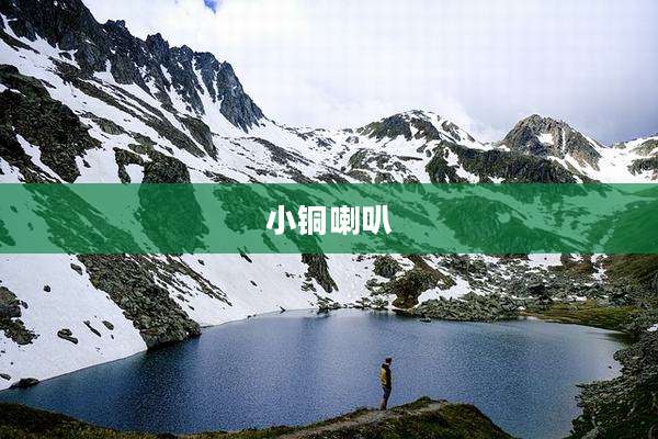 小铜喇叭