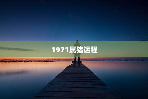 1971属猪运程
