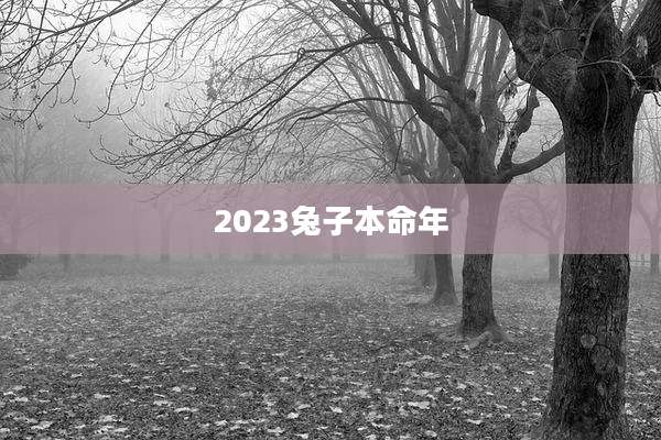2023兔子本命年