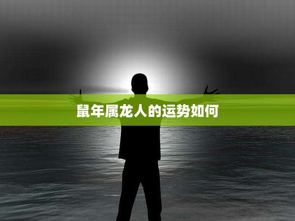鼠年属龙人的运势如何