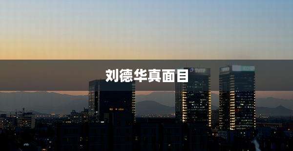 刘德华真面目