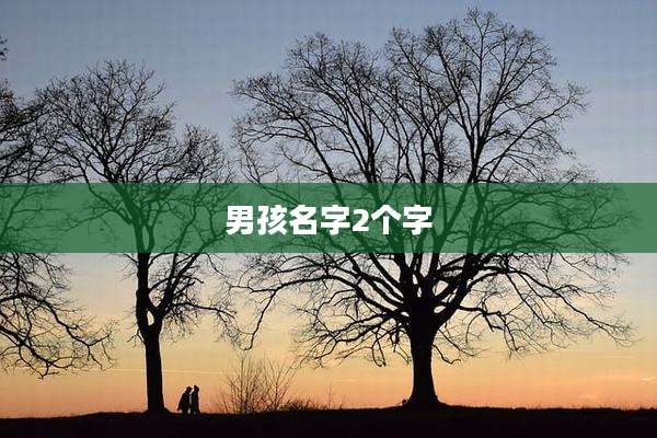 男孩名字2个字
