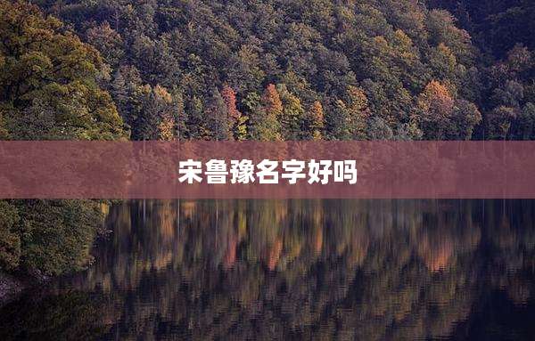 宋鲁豫名字好吗