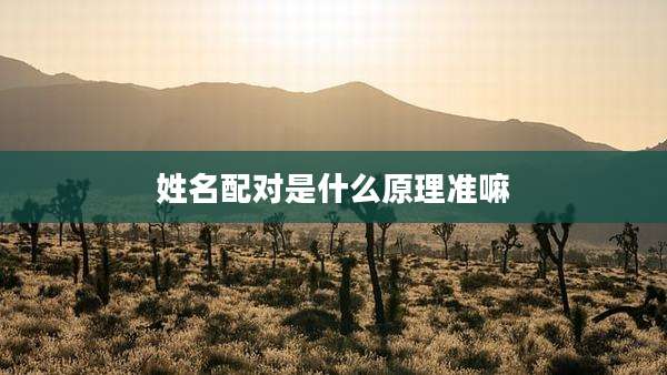 姓名配对是什么原理准嘛