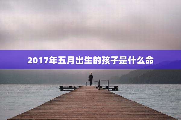 2017年五月出生的孩子是什么命