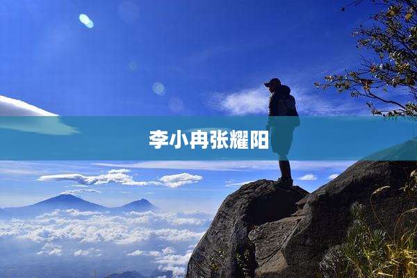 李小冉张耀阳