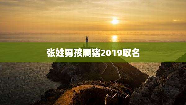 张姓男孩属猪2019取名