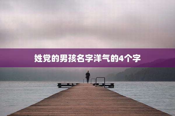 姓党的男孩名字洋气的4个字