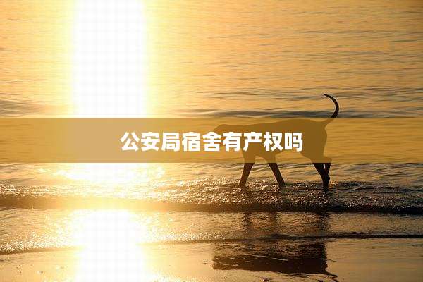 公安局宿舍有产权吗