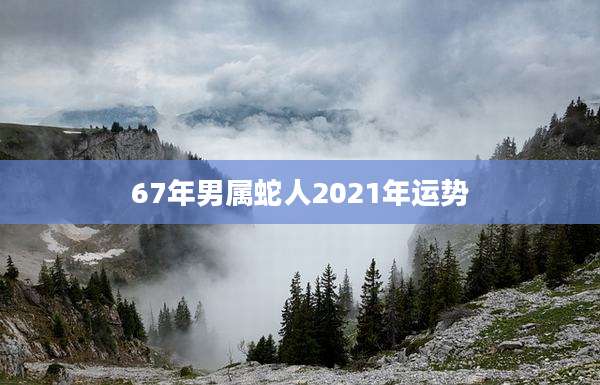 67年男属蛇人2021年运势