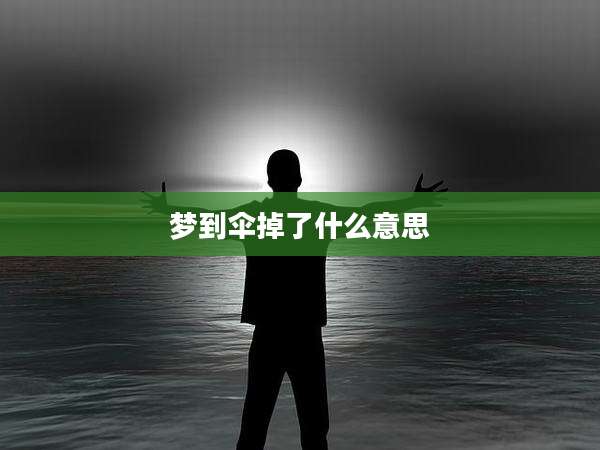 梦到伞掉了什么意思