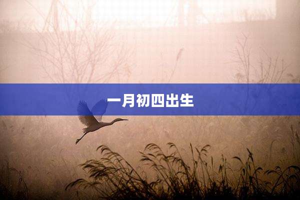 一月初四出生