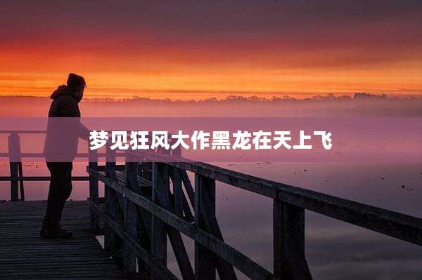梦见狂风大作黑龙在天上飞
