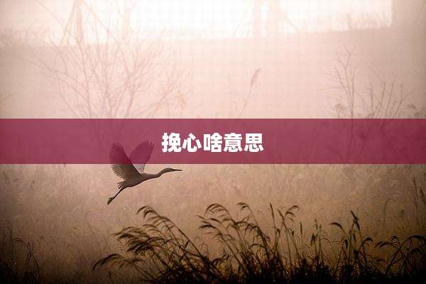 挽心啥意思
